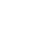 floridense.com logo