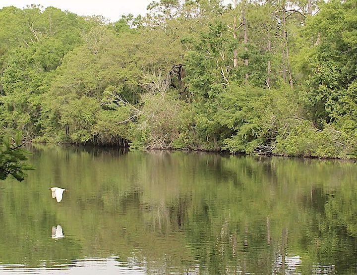 El Lago: Fotografía en tu propia comunidad